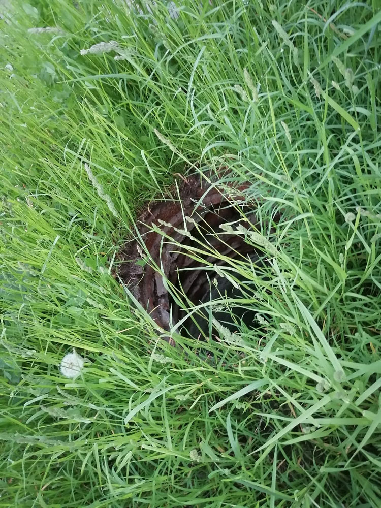 Жители Клинцов в высокой траве рассмотрели открытый люк