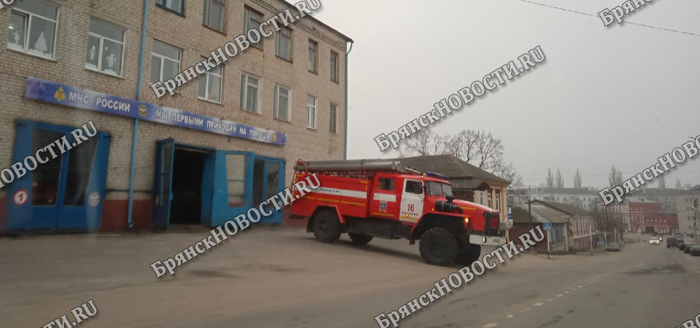 В Новозыбкове дерево упало на дорогу. Пострадавших нет