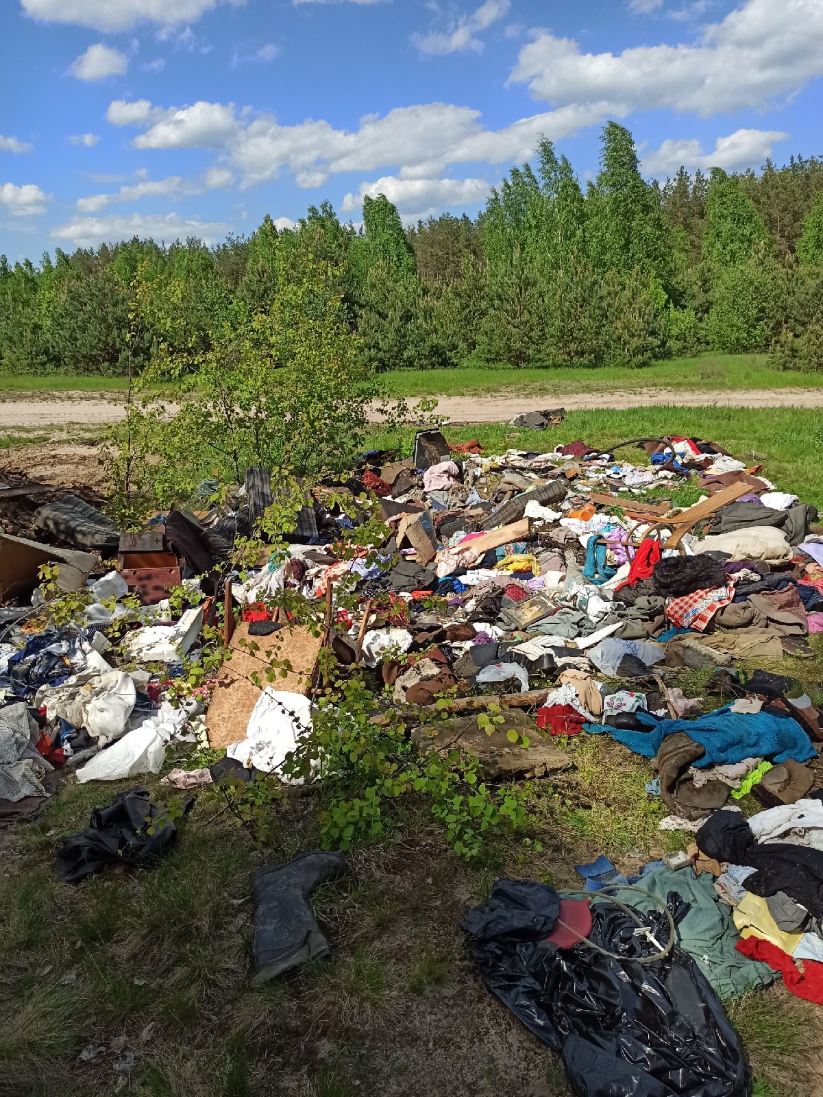 Лес под Клинцами превратили в мусорный полигон