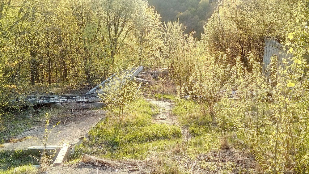 В парке Соловьи в Брянске обнаружили огромную свалку