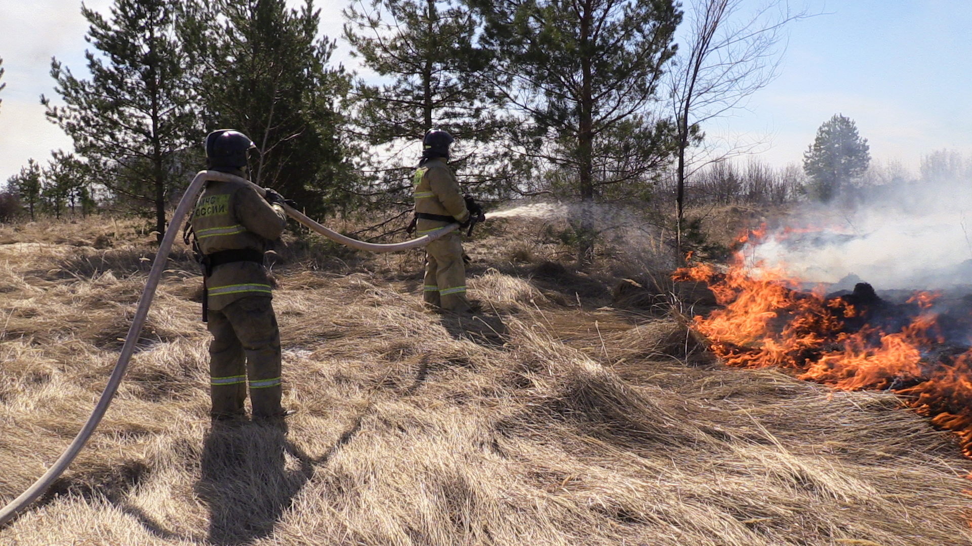 На территории Брянской области за сутки зарегистрирован один природный и 5 техногенных пожаров