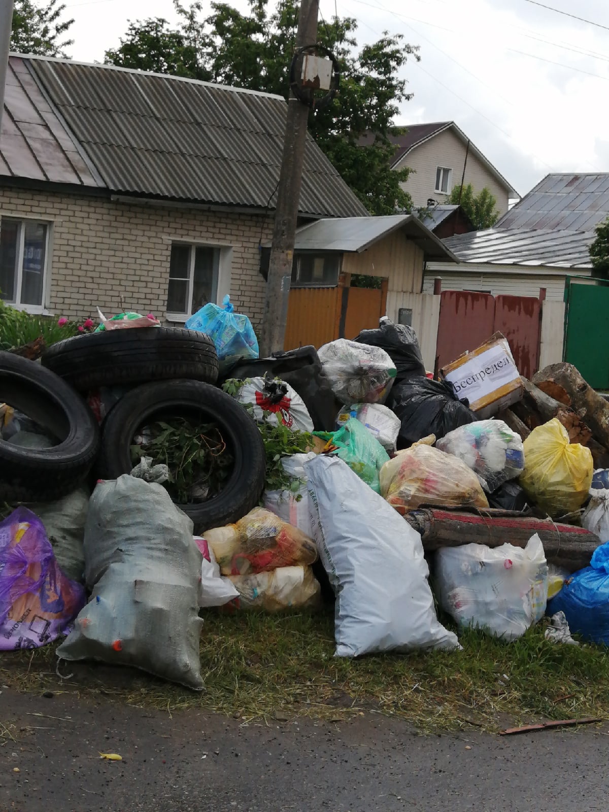 «Чистая планета» обвинила брянских блогеров в хайпе на мусорных кучах
