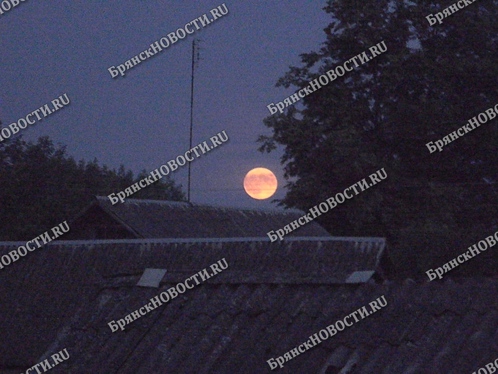 Жителей Брянской области удивила красная луна