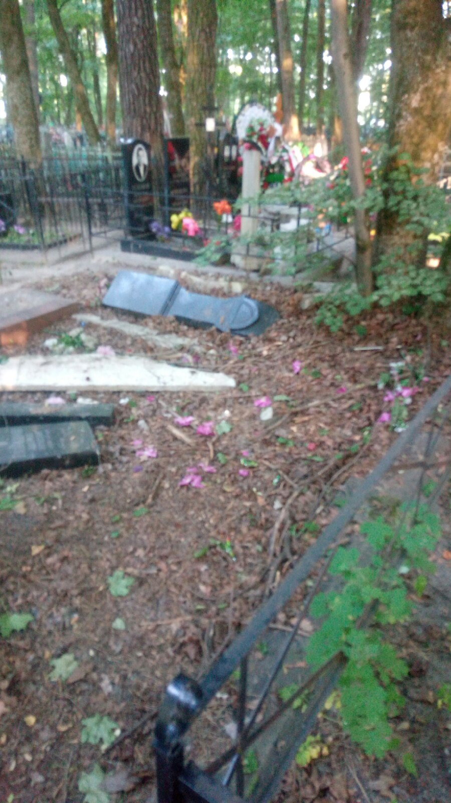 Разрушенные памятники обнаружили жители Брянска на кладбище