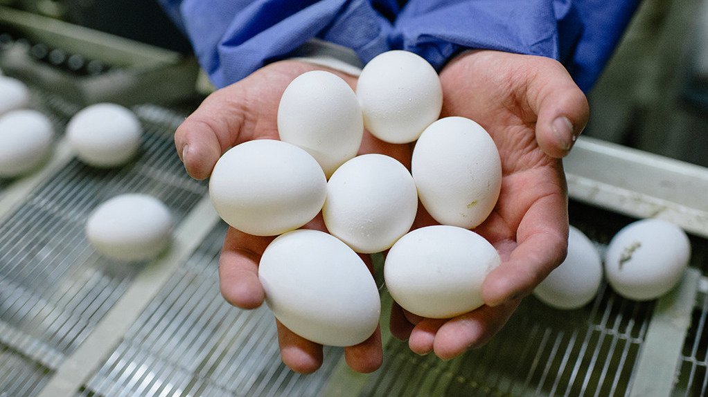 На брянских прилавках в мае пошли на снижение цены на яйца, сахар, и овощи
