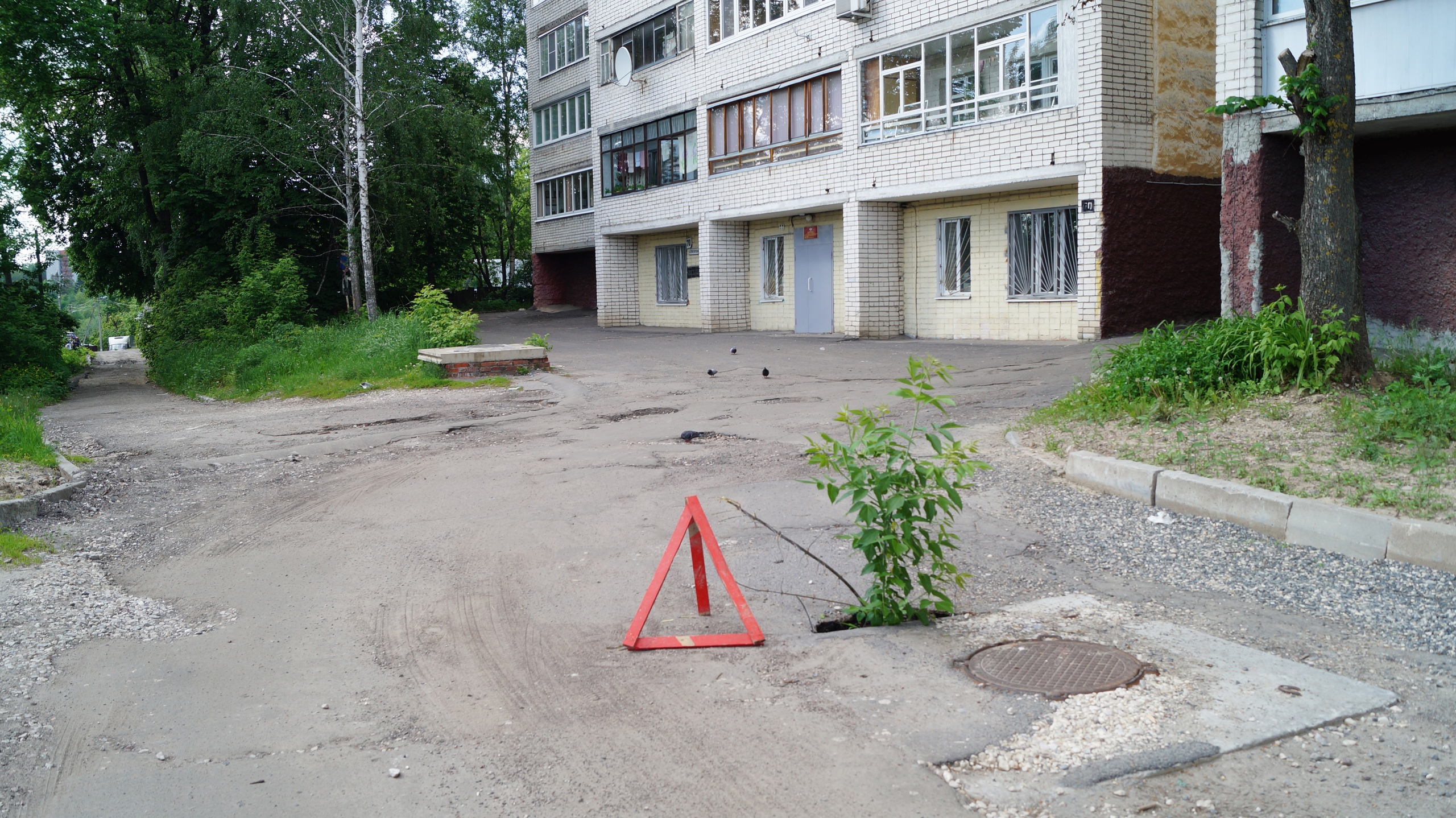 На дороге по улице Пролетарской в Брянске «выросло» дерево •  БрянскНОВОСТИ.RU