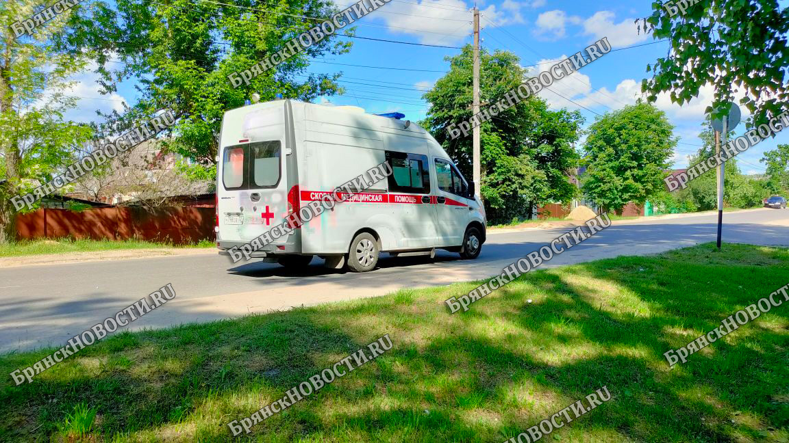 Медицине Брянской области пообещали 141 машину санитарного автотранспорта