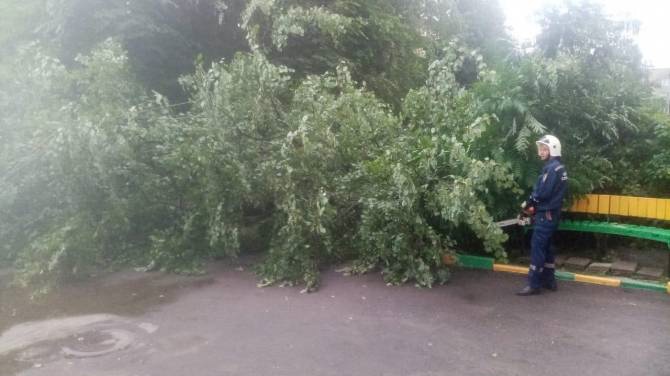 Брянск не был готов к такому дождю: за сутки выпала треть месячной нормы осадков, деревья разбили восемь авто