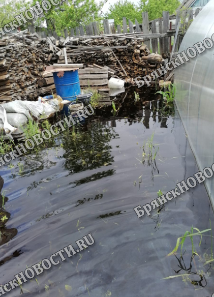 Грядки поплыли: в Фокинском районе Брянска затопило дачные участки