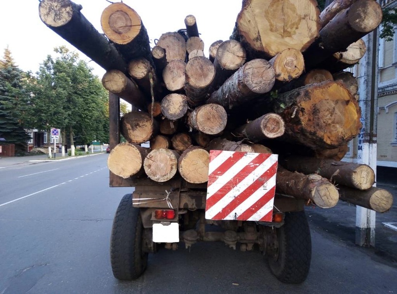 Штраф выписали водителю лесовоза в Новозыбкове