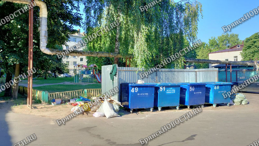 Будущее поколение в Новозыбкове воспитывают между мусорками