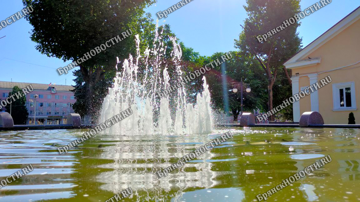Химия не справляется с водорослями: вода в фонтане Новозыбкова цветет