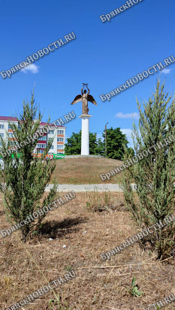 Газон в сквере у памятника “Добрый ангел мира” в Новозыбкове напрочь высох