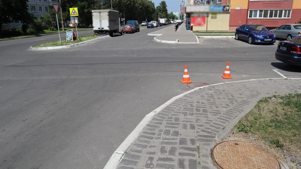 В Брянске активисты регионального отделения ОНФ просят власти обезопасить дорогу в школу