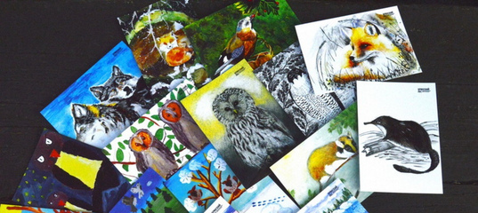 Заповеднику «Брянский лес» ко Дню рождения прислали десятки открыток