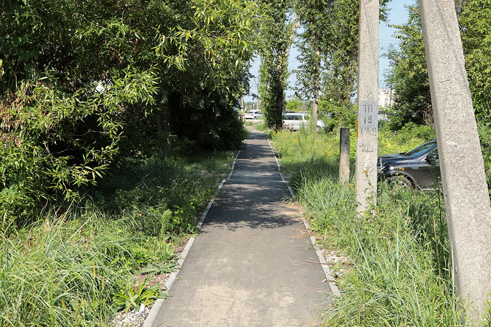 Тротуар в Брянске проложили среди густой растительности