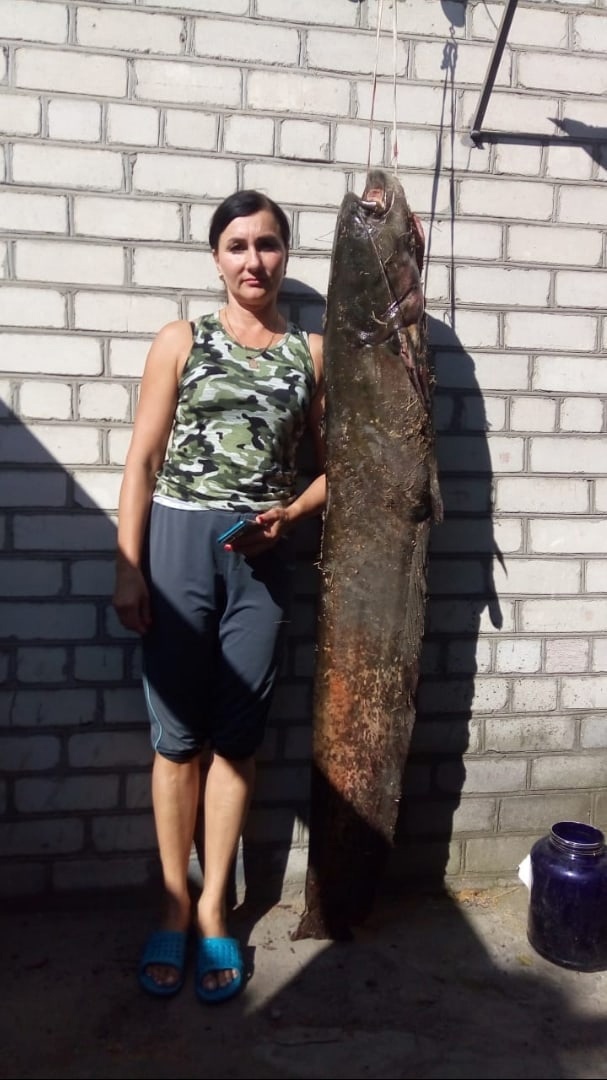 Рыбак вытащил из Десны в Брянске почти двухметрового сома