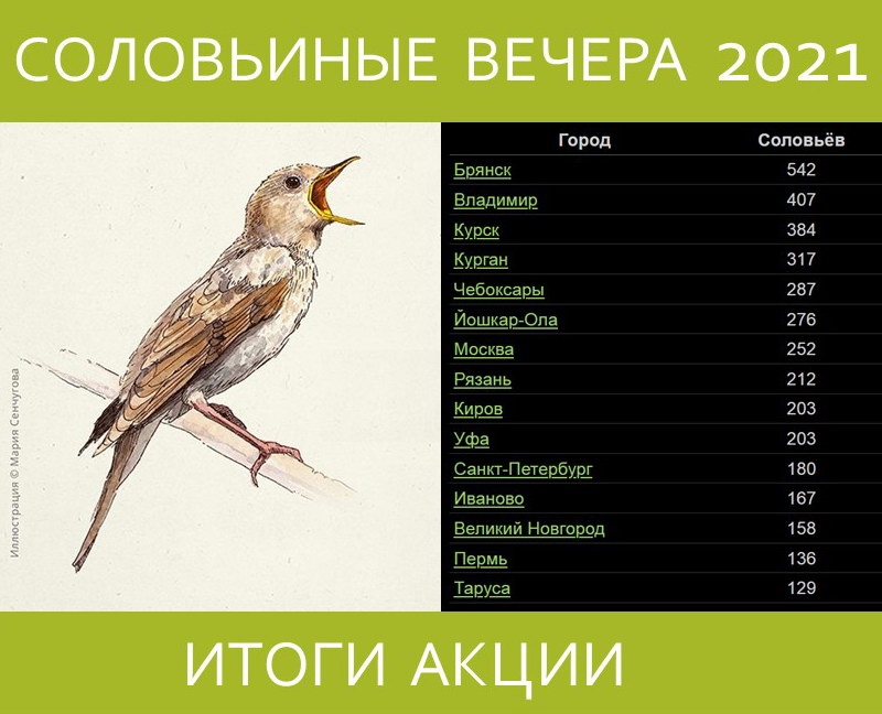 Соловьиное пение в этом году последний раз слышали 26 июня в Брянской области