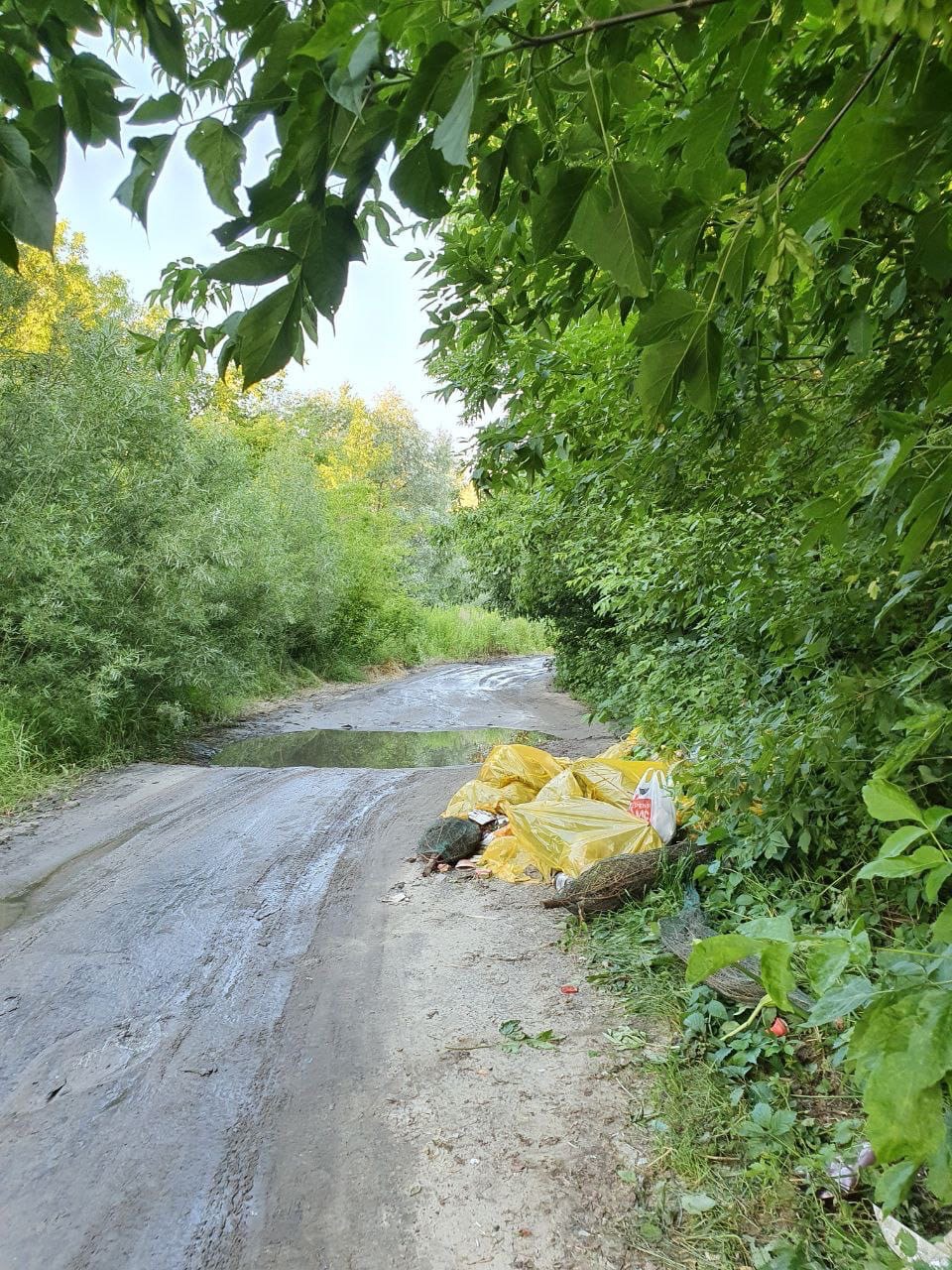 Подъезд к Орлику засыпали мусором, свалка разрастается