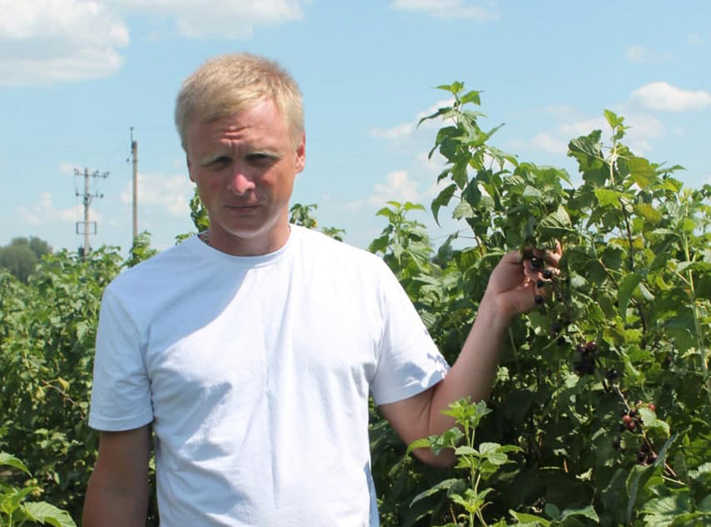 Семья Стекачевых из Почепского района вышла на промышленные объемы в ягодном производстве