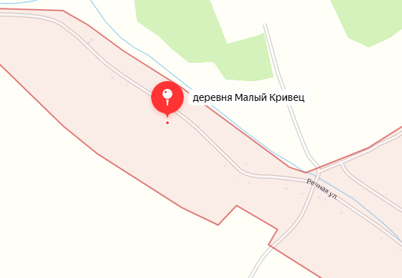 Дым у села в Новозыбковском округе взволновал жителей