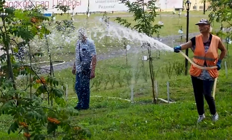 Молодой сад в Брянске пытаются спасти от выгорания. Рабочим указали на ошибки