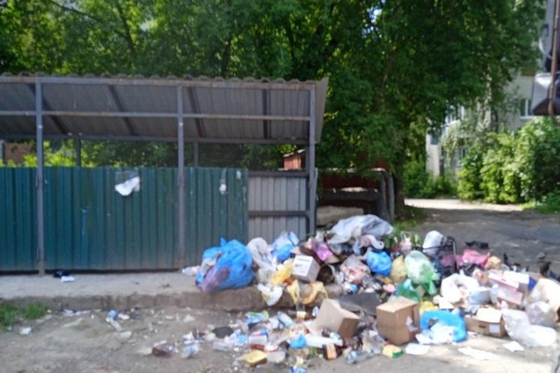Жители дома 128 по улице Спартаковской в Брянске устроили свалку