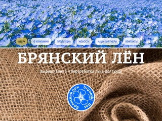 Триста тысяч рублей зарплатного долга выплатили работникам «Брянского льна»