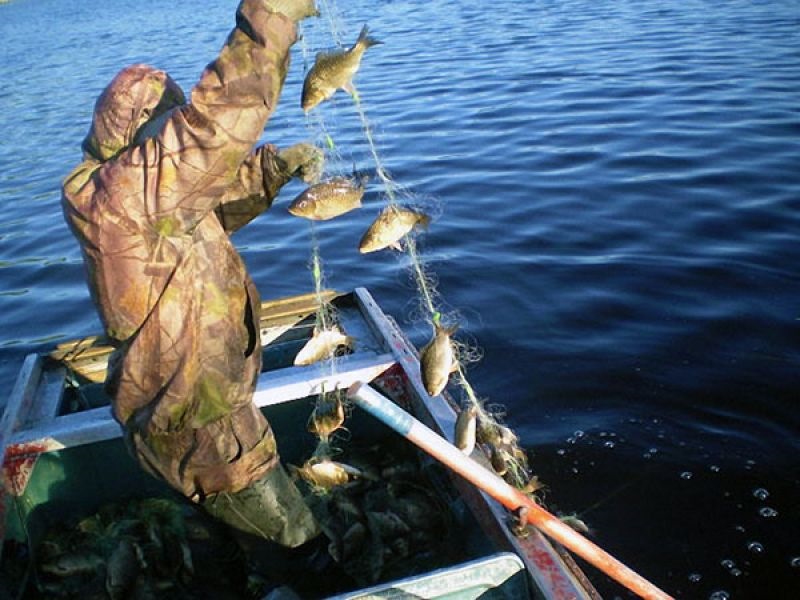 Приставы из Брянской области нашли способ взыскать штраф с рыболова-браконьера