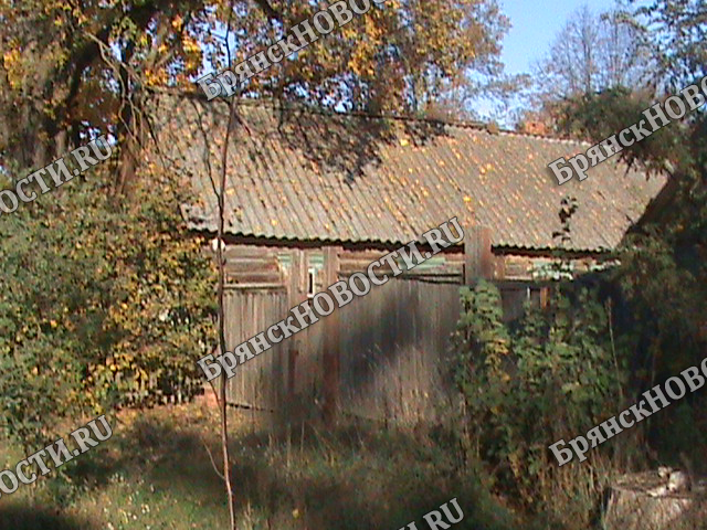 Богатый урожай собрал налетчик на дачный дом в селе под Новозыбковом