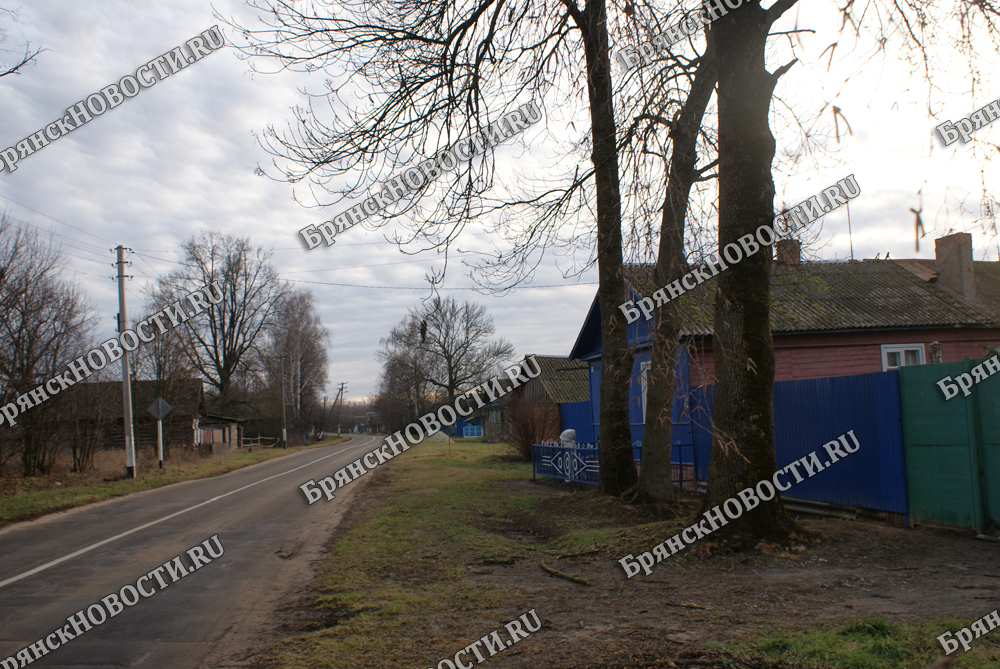 На рассвете гроза обесточила село под Новозыбковом