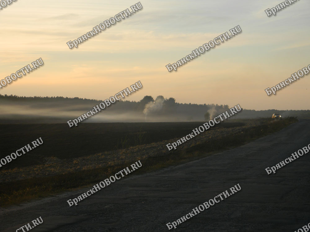 Очевидцы рассказали о сгоревших полях под Новозыбковом