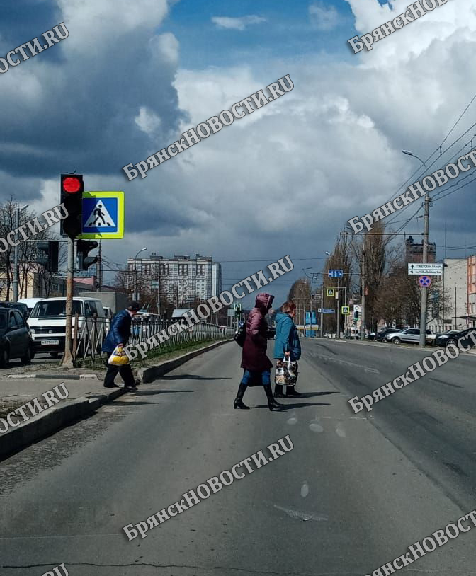 Какое отсутствие дохода не станет причиной в отказе на пособие в Брянской области