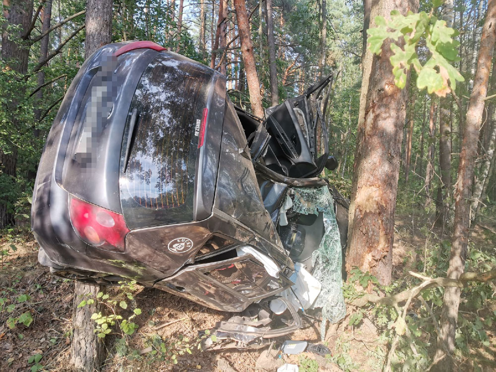 В Климовском районе погиб водитель