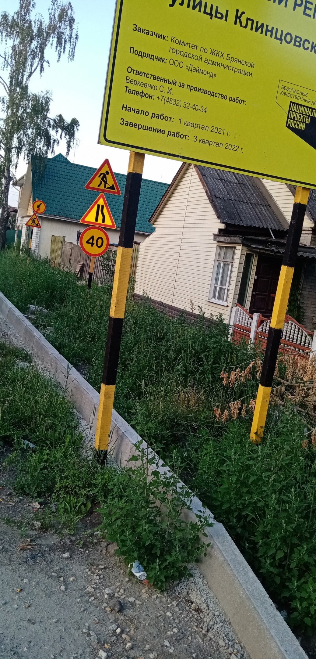 В Брянске трава по пояс на ремонтируемой улице