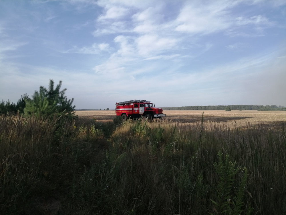 В Клинцовском районе тушили лесной пожар