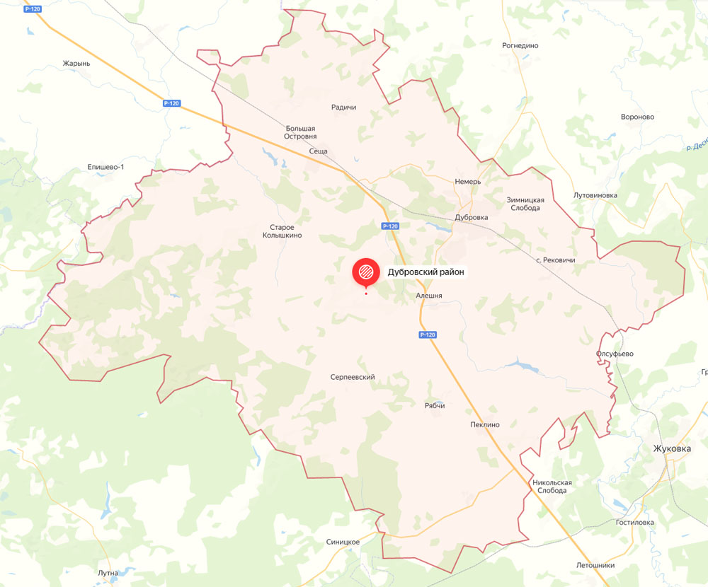Очаг АЧС в Дубровском районе стал третьим в Брянской области