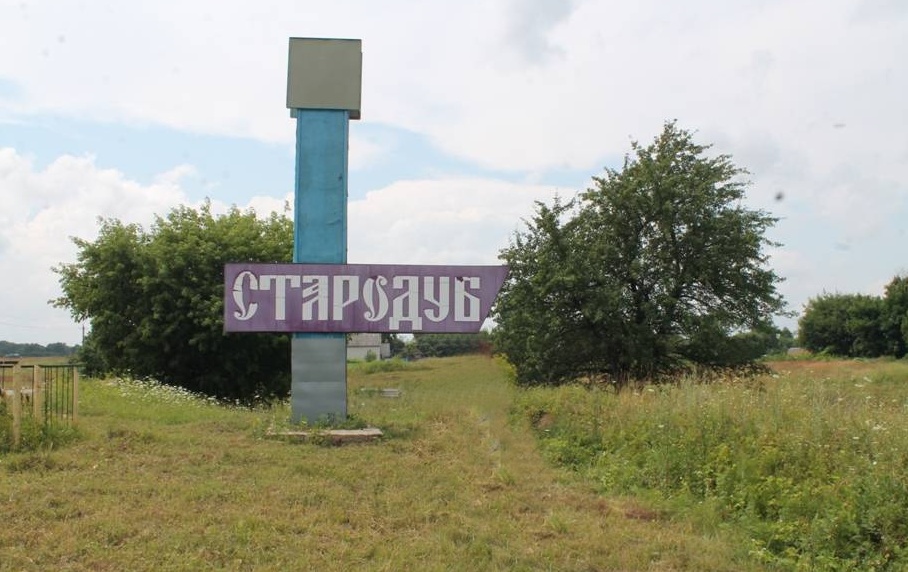 За 27 тысяч рублей незаконных соцвыплат жительнице Стародубского района грозит колония