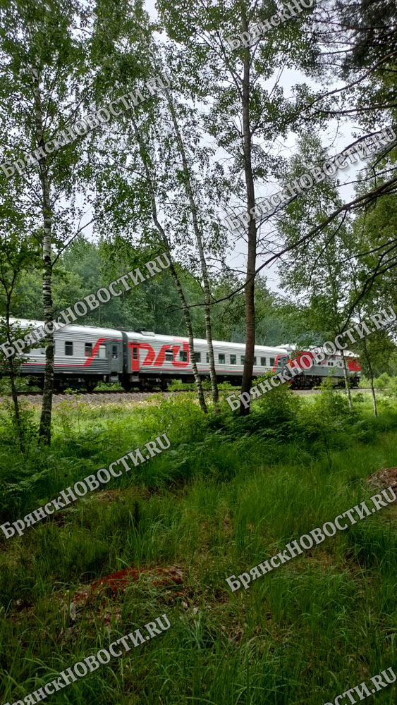 На два дня меняют маршрут двух пригородных поездов Комаричского направления в Брянской области
