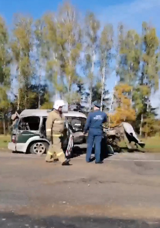 На трассе в Брянской области столкнулись грузовик и легковушка