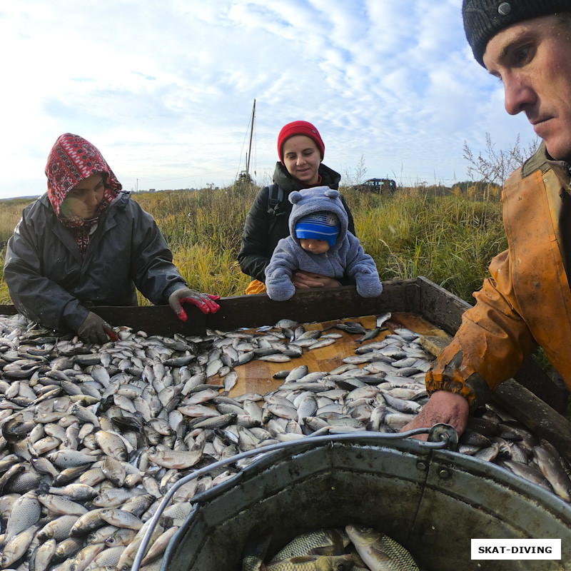 3500 рыбок запустили в озеро ДСК Брянска