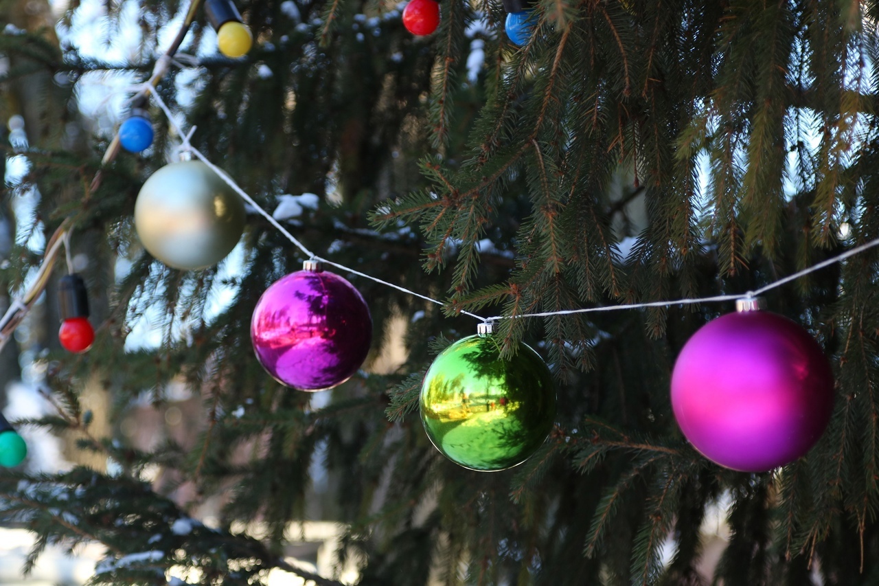 В Брянске объявили в розыск главную новогоднюю елку города