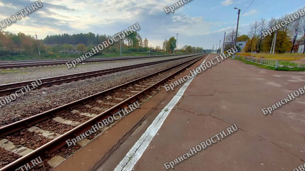 Брянск вошел в рейтинг самых бюджетных железнодорожных направлений на октябрь