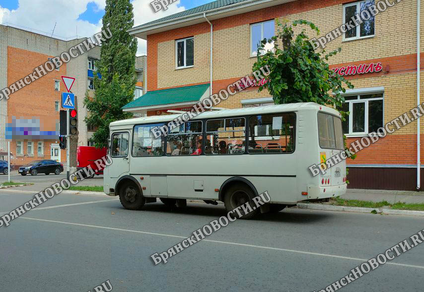 До дач автобусы будут ходить еще неделю в Новозыбкове