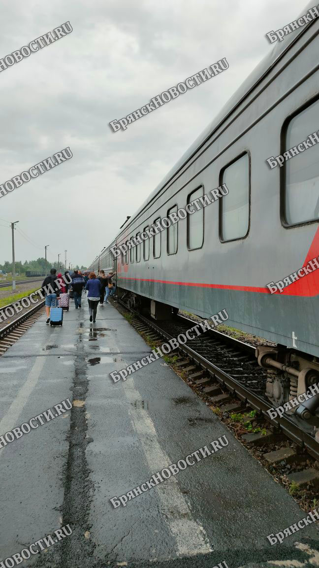 На три дня в Брянской области изменится расписание пригородных поездов между Унечей и Новозыбковом