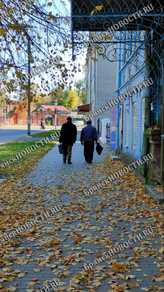 Родителям брянских студентов положена доплата к пенсии