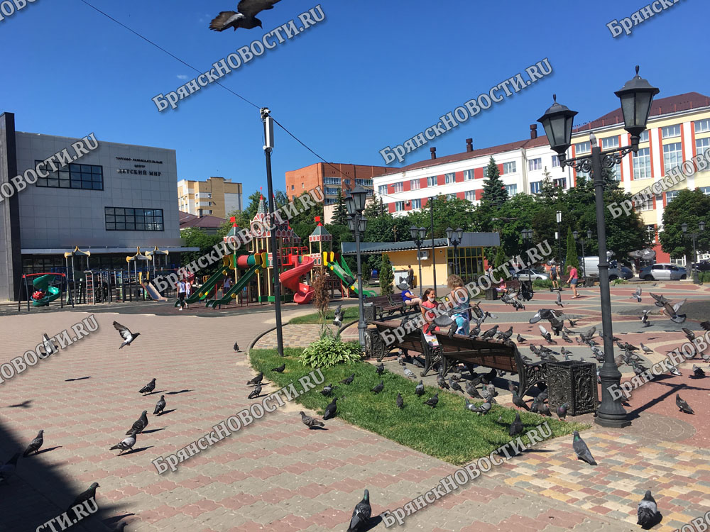 В Клинцах на детских площадках отсутствовали телефоны служб спасения
