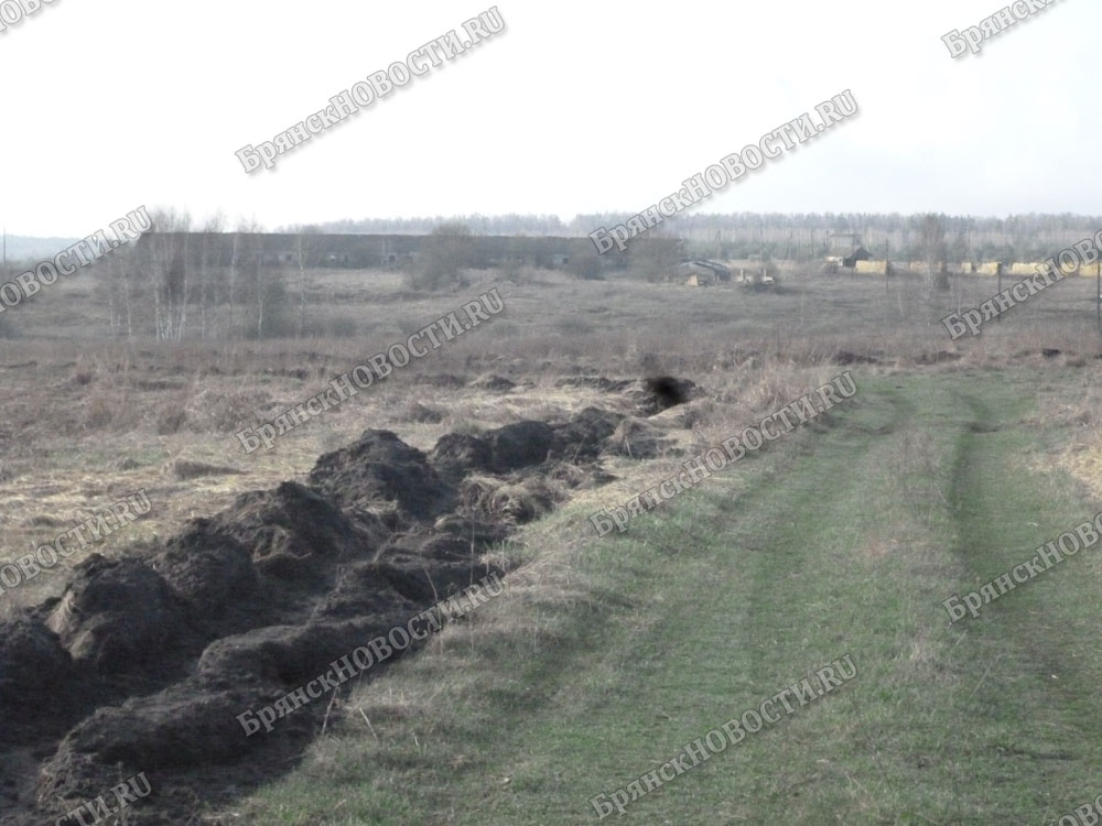 В Новозыбковском округе тушили пожар в коровнике