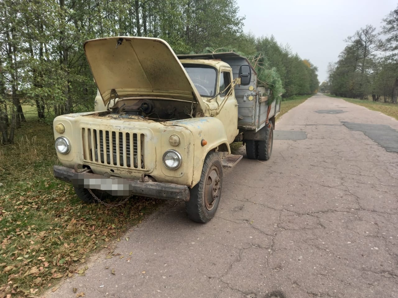 В Климовском районе инспекторы задержали грузовик с 60 соснами