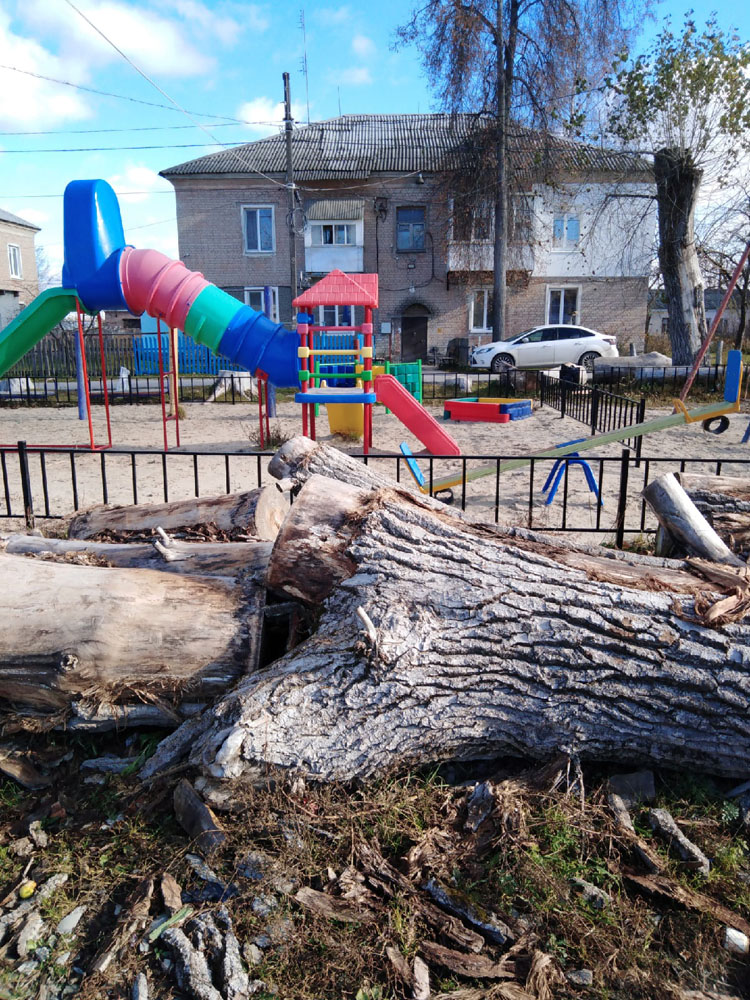 В городе Фокино жильцы сами спилили деревья у детской площадки